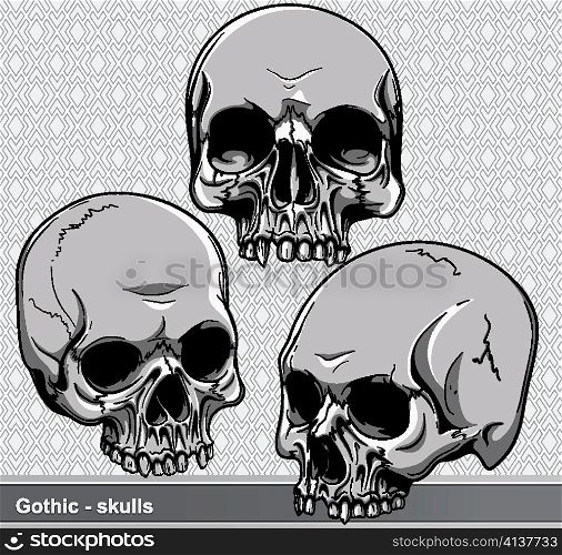 vector vintage skulls set