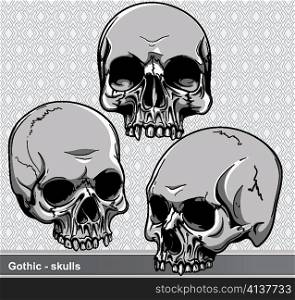 vector vintage skulls set