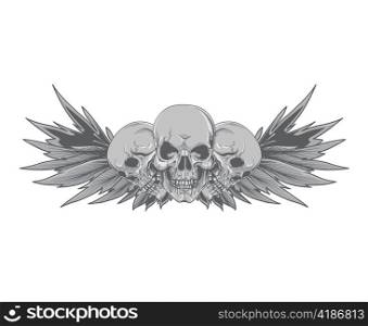 vector vintage skulls with wings