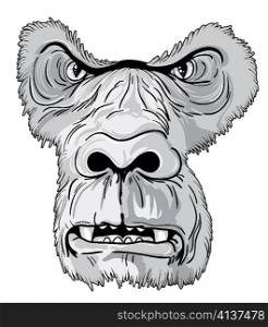 vector vintage t-shirt design with gorilla face