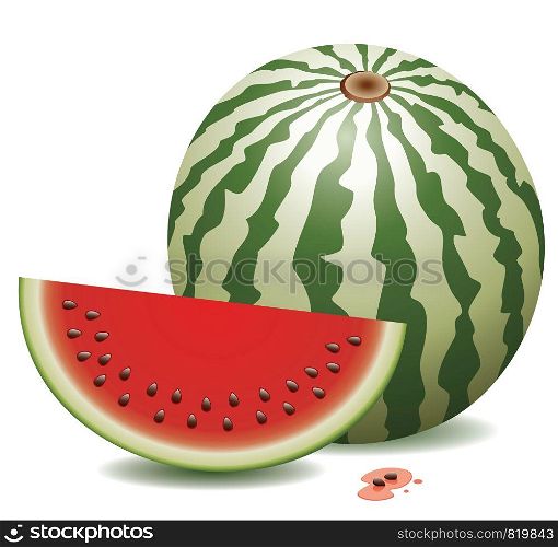 vector watermelon and a slice