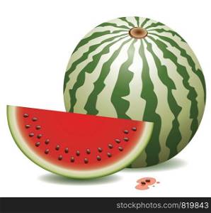 vector watermelon and a slice