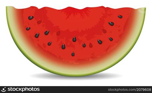 vector watermelon slice