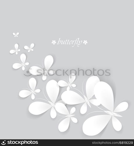 Vector white butterflies on a gray background. White butterflies