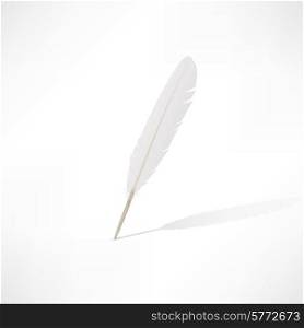 Vector white feather