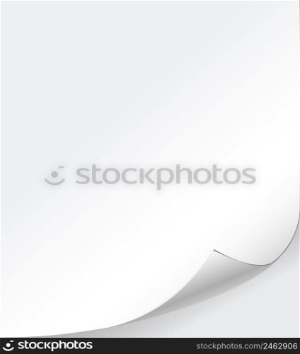 vector white paper background with curled corner