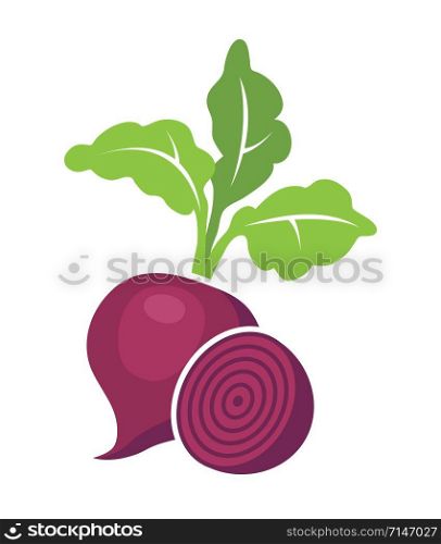 vector whole beet root with leaves and half of beet symbols isolated on white background. icon of beetroot vegetable for healthy vegetarian food illustrations