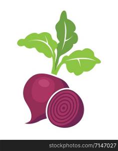 vector whole beet root with leaves and half of beet symbols isolated on white background. icon of beetroot vegetable for healthy vegetarian food illustrations