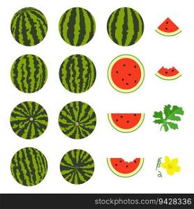 vector whole watermelon and slices isolated on white background. juicy ripe watermelon icons for healthy food backgrounds. flat style illustration
