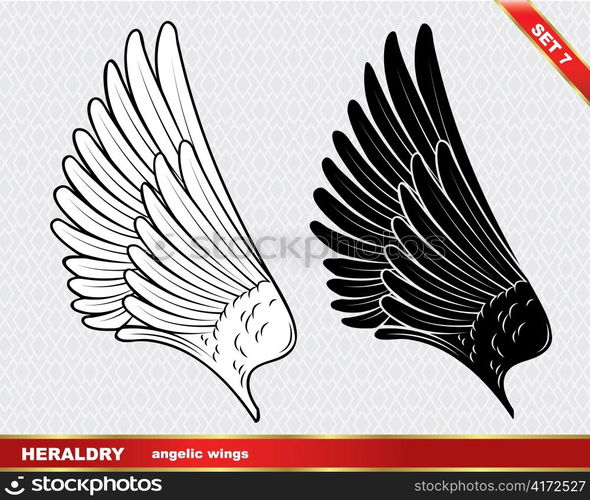 vector wing
