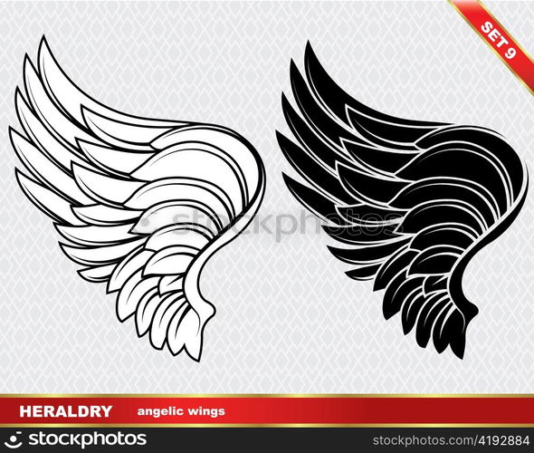 vector wing