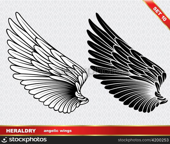 vector wing