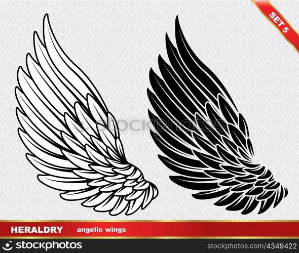 vector wing
