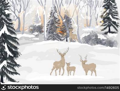 Vector winter landscape with bright sunbeams. Reindeer family standing in forest pine trees covered with snow on frosty evening. Beautiful winter panorama with snow falling
