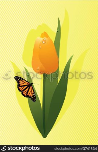 vector yellow tulip and a butterfly