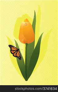 vector yellow tulip and a butterfly