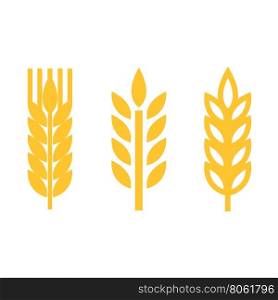 Vector yellow wheat ear spica icons set. Vector yellow wheat ear spica icons set on white background