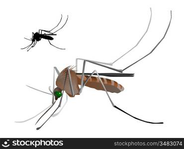 Vectors mosquito