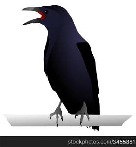Vectors Raven