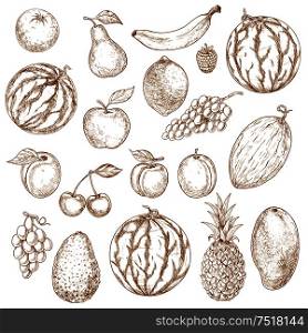 Vegan fruits sketch in vintage style. Organic ripe apple and exotic mango, fresh pineapple and raw avocado, mature melon and tasty apricot, grape branch and kiwi, pear and naturally grown plum.. Vegan fruits sketch in vintage style