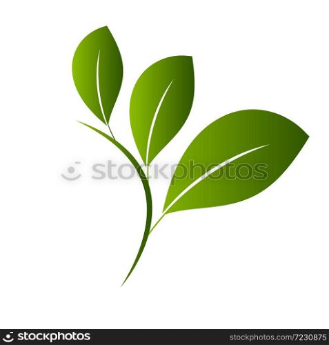 Vegan icon . Bio, Ecology, Organic logos and badges, label, tag. Green leaf on white background. Vector illustration