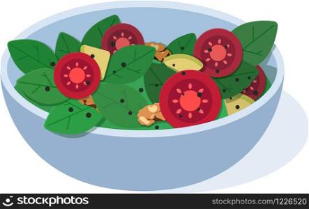 Vegan salad bowl vector illustration. Vegetarian , organic food, healthy food