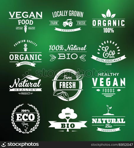 vegan vegetarian theme vector art. vegan vegetarian theme vector art illustration