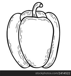 Vegetable. Beautiful ripe fruit - pepper. Vector illustration. Hand drawn doodle line drawing, outline for design and decoration, decor