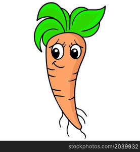 vegetable carrot face beautiful woman