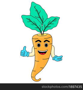vegetable carrot with happy face