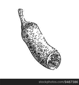 vegetable chili pepper hand drawn. red chilli, paprika organic, spice chile vegetable chili pepper vector sketch. isolated black illustration. vegetable chili pepper sketch hand drawn vector