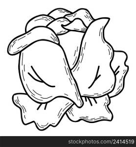 Vegetable. head of kale Vegetable. Vector illustration. Line drawing in hand doodle style, outline