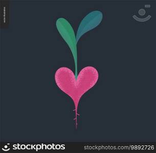 Vegetable heart - Valentines day graphics. Modern flat vector concept illustration - a beetroot shape valentine heart, with green leaves, cute vegeterian character in love concept. Vegetable heart - Valentine graphics