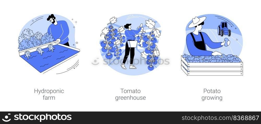 Vegetable industry isolated cartoon vector illustrations set. Hydroponic farm, leafy greens growing, tomato greenhouse, farmer cultivates potatoes on field, agribusiness worker vector cartoon.. Vegetable industry isolated cartoon vector illustrations se