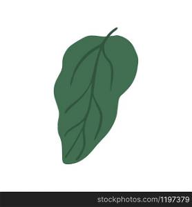 Vegetable leaves. Vegan, farm, organic, natural. Green leaf isolated on white background. Simple vector illustration. Vegetable leaves. Vegan, farm, organic, natural. Green leaf isolated on white background.