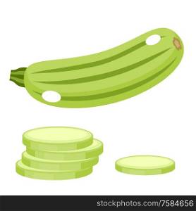 Vegetable marrow on a white background. Vector illustration
