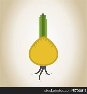 Vegetable onions. A vector illustration