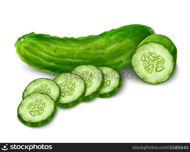 Vegetable organic food cucumber cut isolated on white background vector illustration