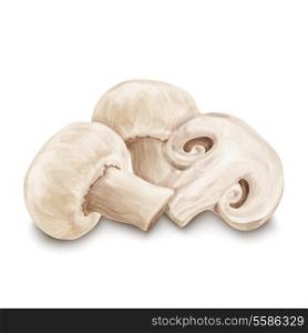 Vegetable organic food realistic champignon mushrooms isolated on white background vector illustration