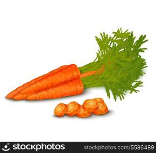 Vegetable organic food realistic fresh carrot isolated on white background vector illustration.