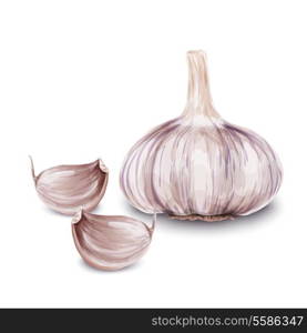 Vegetable organic food realistic fresh garlic isolated on white background vector illustration.