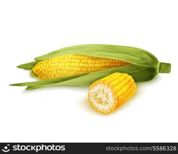 Vegetable organic food realistic yellow corn stalk isolated on white background vector illustration