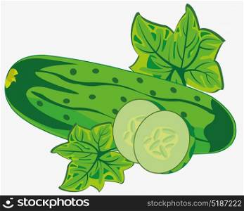 Vegetable ripe cucumber. Ripe cucumber on white background is insulated