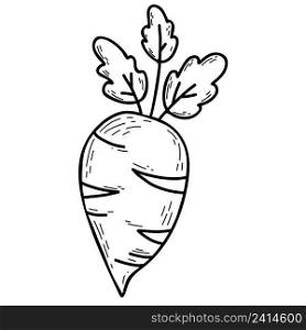 Vegetable root. Decorative big turnip with leaves. Vector illustration. line drawing in hand drawn doodle style, outline design and decoration, menu design and recipes
