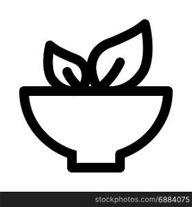 vegetable salad, icon on isolated background