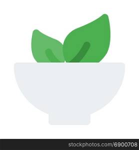 vegetable salad, icon on isolated background