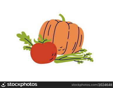 Vegetable still life. Pumpkin, tomato and celery. Color illustration vector set.. Vegetable still life. Pumpkin, tomato and celery. Color illustration vector set