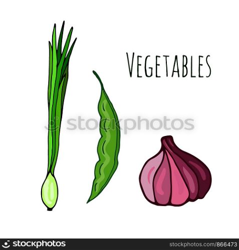 Vegetable vector icons. Onion,peas, garlic. Seeds packaging design. Ingredients for recipe book. Vegetable vector icons. Onion,peas, garlic. Seeds packaging design. Ingredients for recipe book.