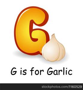 Vegetables alphabet: G is for Garlic illustration