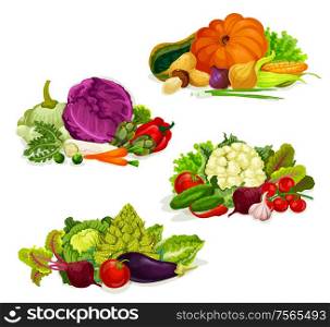 Vegetables and farm market veggies, salads and cabbages food. Vector organic vegetarian pumpkin, garlic or onion an eggplant, turnip and beet or radish, pepper and carrot, tomato and zucchini squash. Vegetables, vegetarian food salads and cabbages